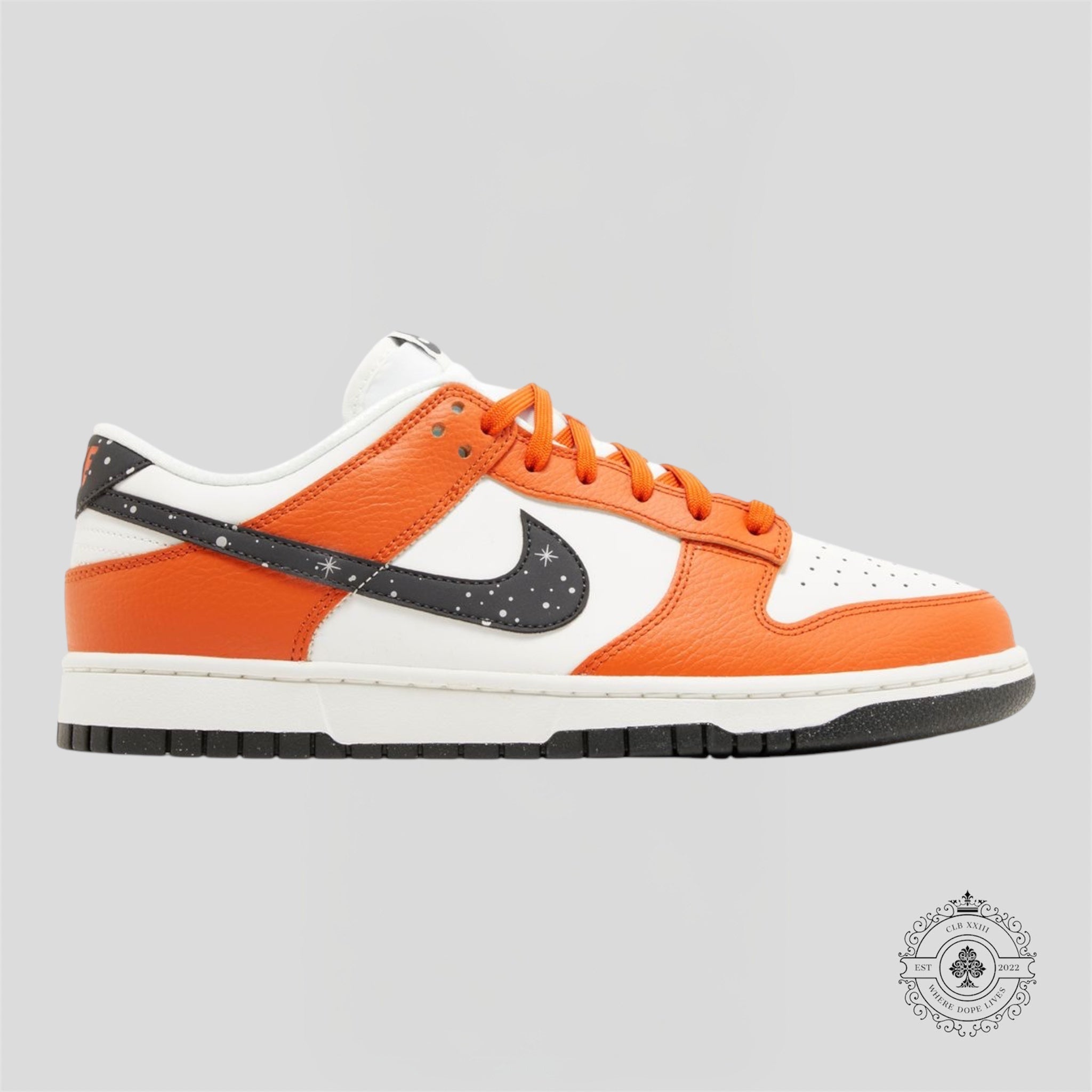 Nike Dunk Low Night Sky