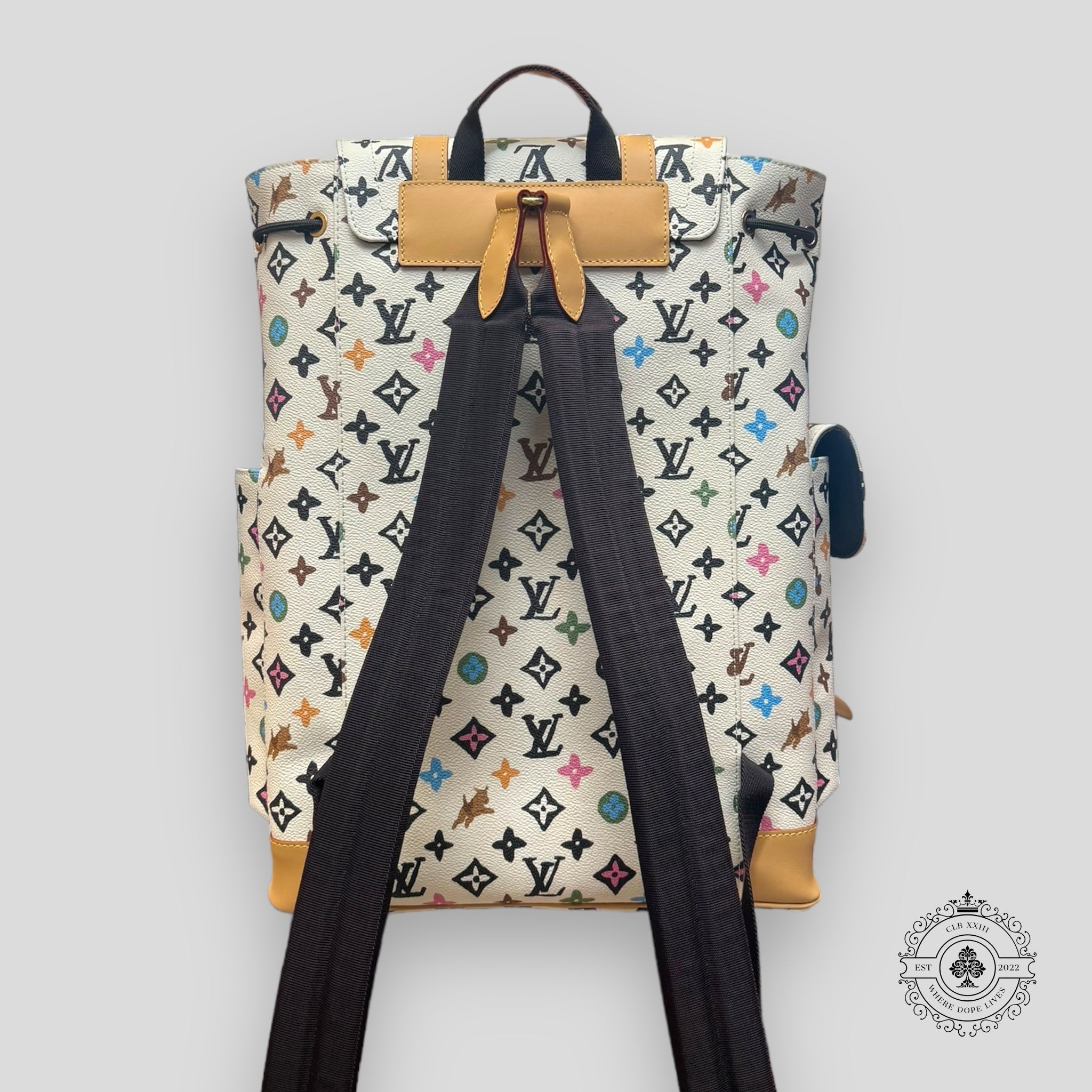 Louis Vuitton Christopher MM Backpack