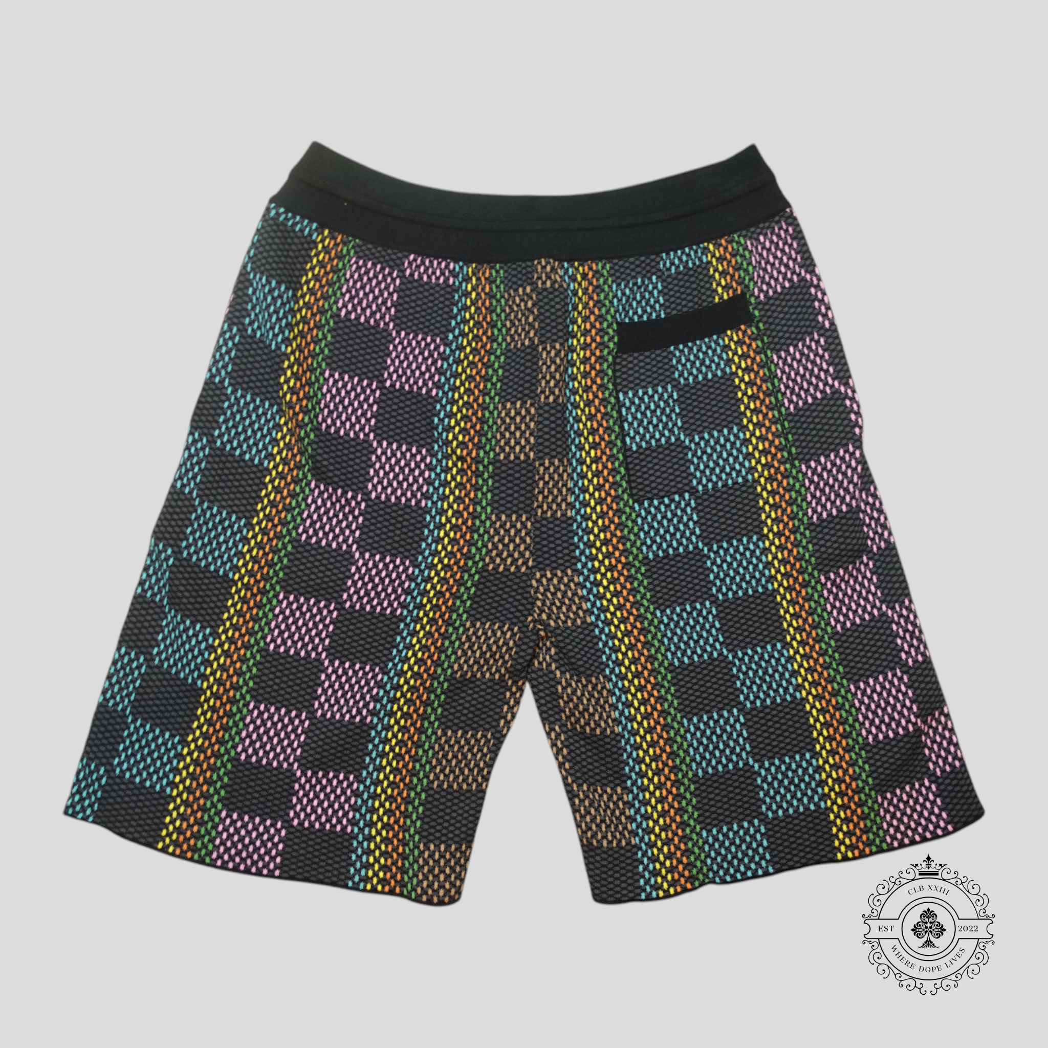 Louis Vuitton Damier Jacquard Shorts in Black/Multicolor