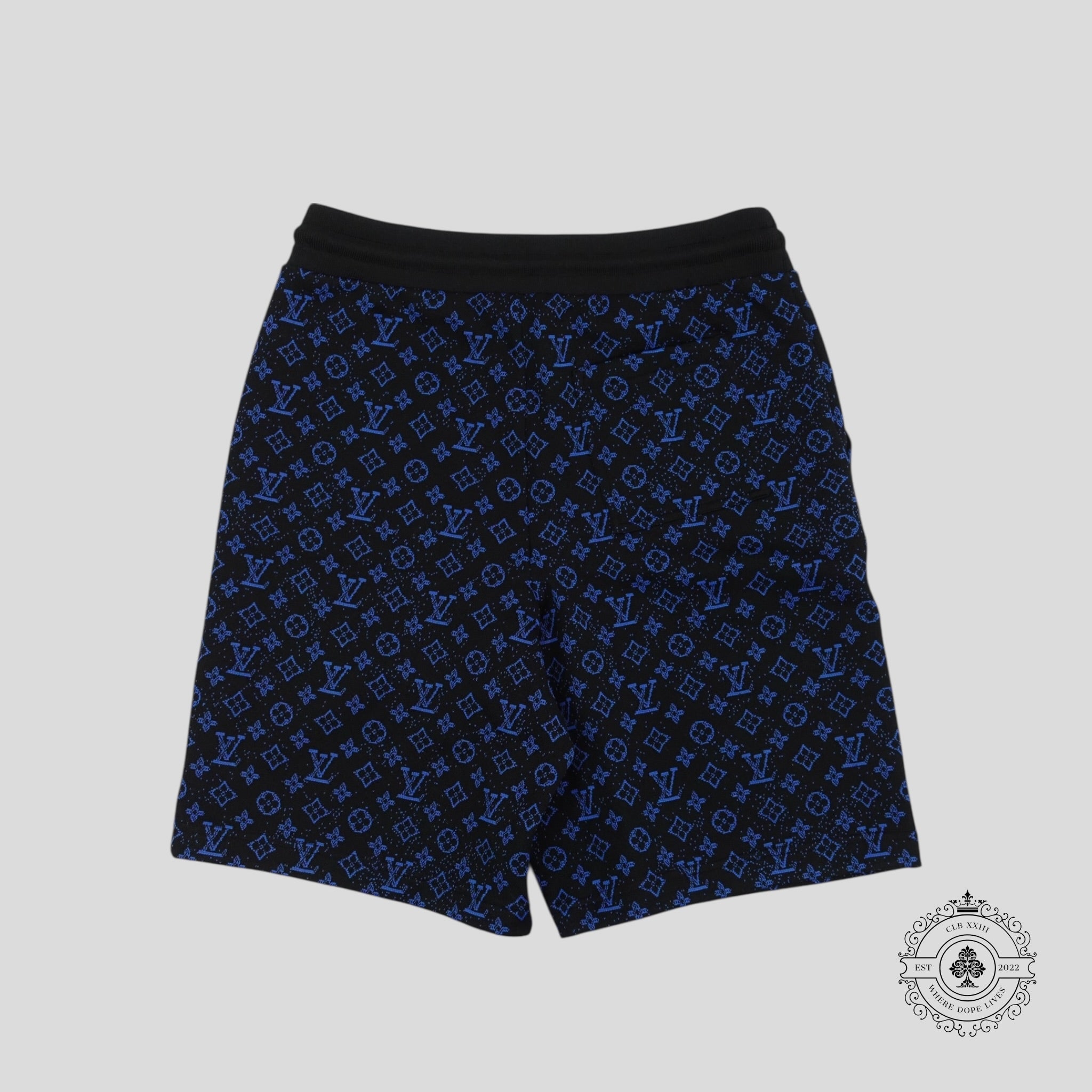 Louis Vuitton Monogram Technical Shorts in Black/Blue
