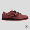 Nike SB Dunk Low Concepts Red Lobster