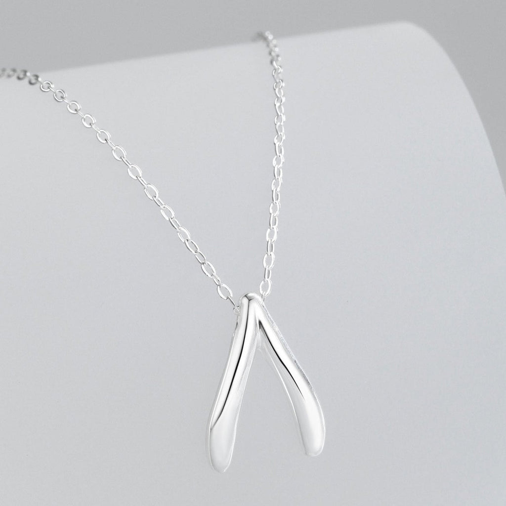 Collier en argent sterling avec pendentif en forme d'os de la chance