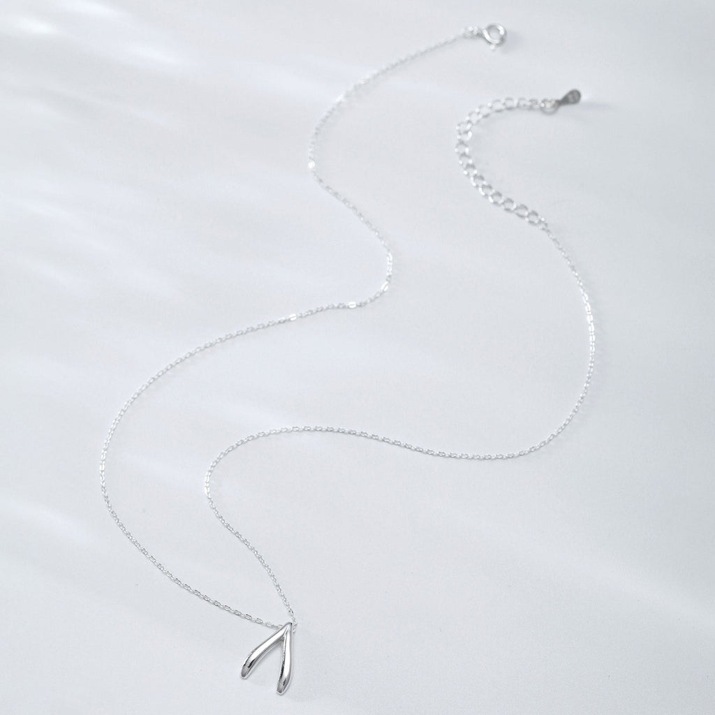 Collier en argent sterling avec pendentif en forme d'os de la chance