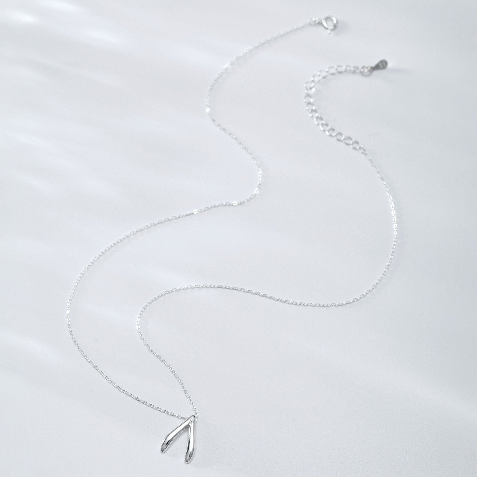 Collier en argent sterling avec pendentif en forme d'os de la chance