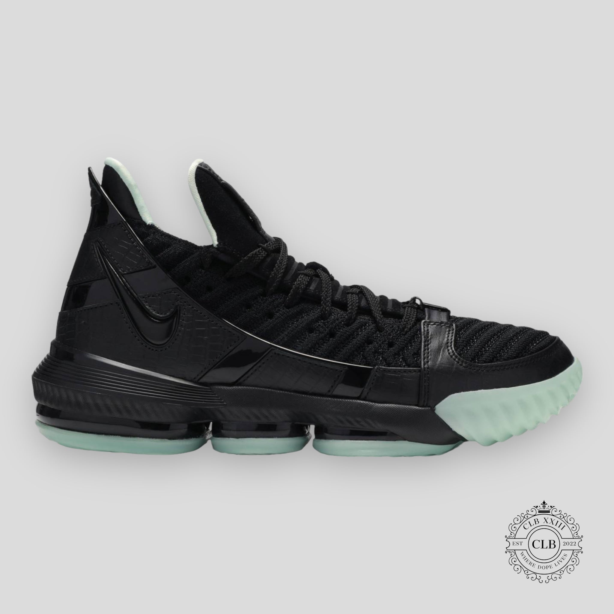 NIKE LEBRON XVI "GLOW"
