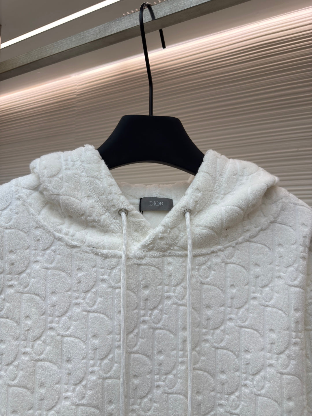 Dior Obliave All Letter hoodie