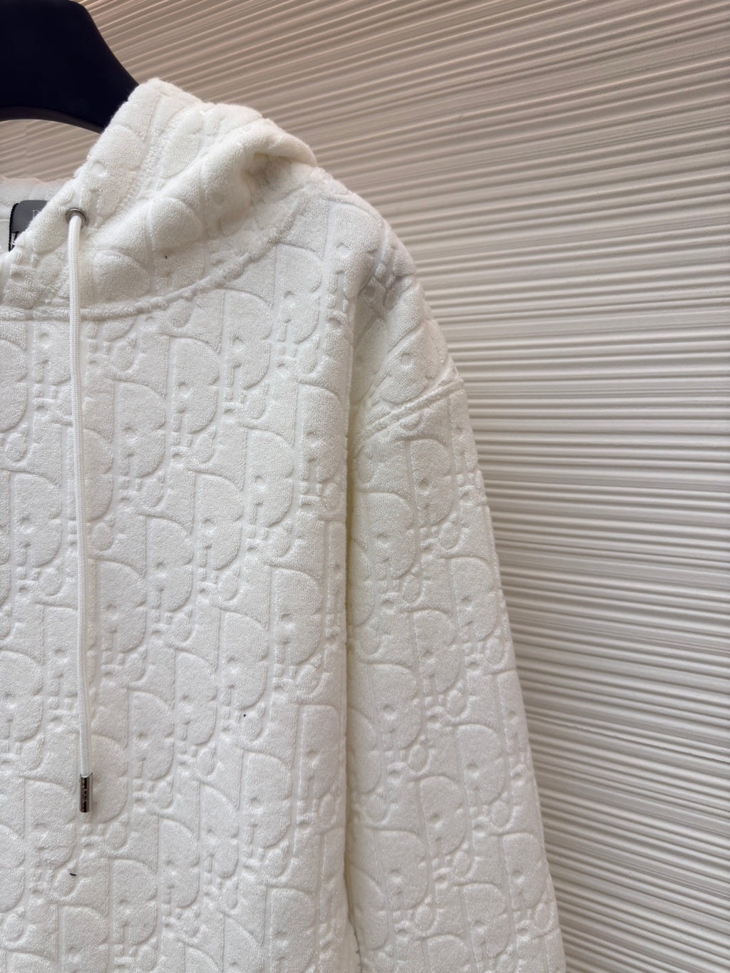 Dior Obliave All Letter hoodie
