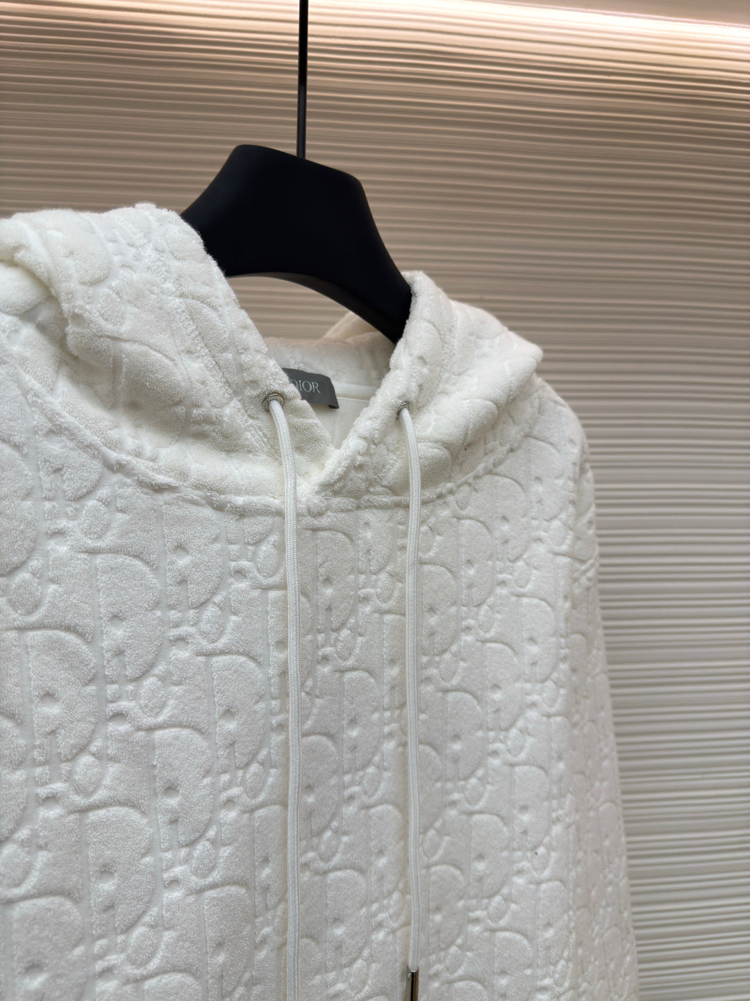 Dior Obliave All Letter hoodie